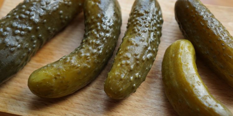 Naturalne probiotyki kiszone ogórki fotografia