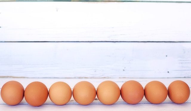 jajka fotografia